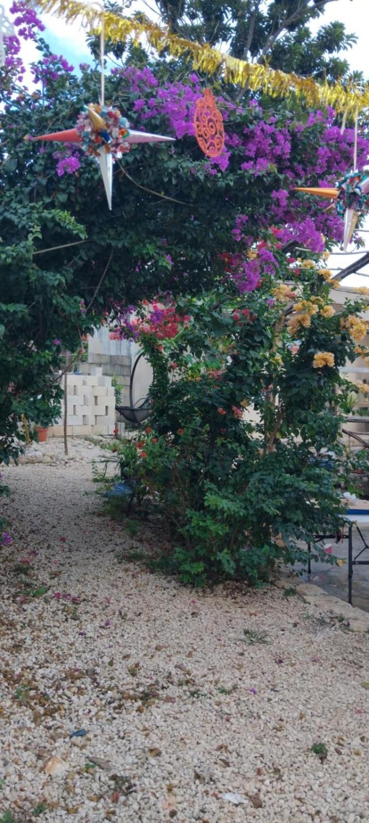 Casa Los Jarochos Valladolid  Kültér fotó